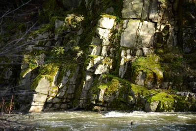 DSC_0935 (Large).JPG